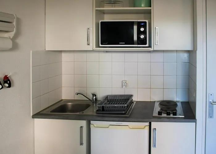 Calme Avec Piscine Et Parking, Proche Du Lavandou - Fr-1-803-7 Le Lavandou